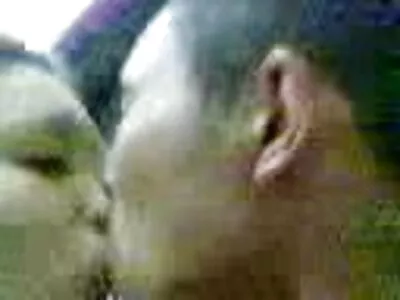 കാറിന്റെ പിന്നിൽ ഫക്ക്സ്